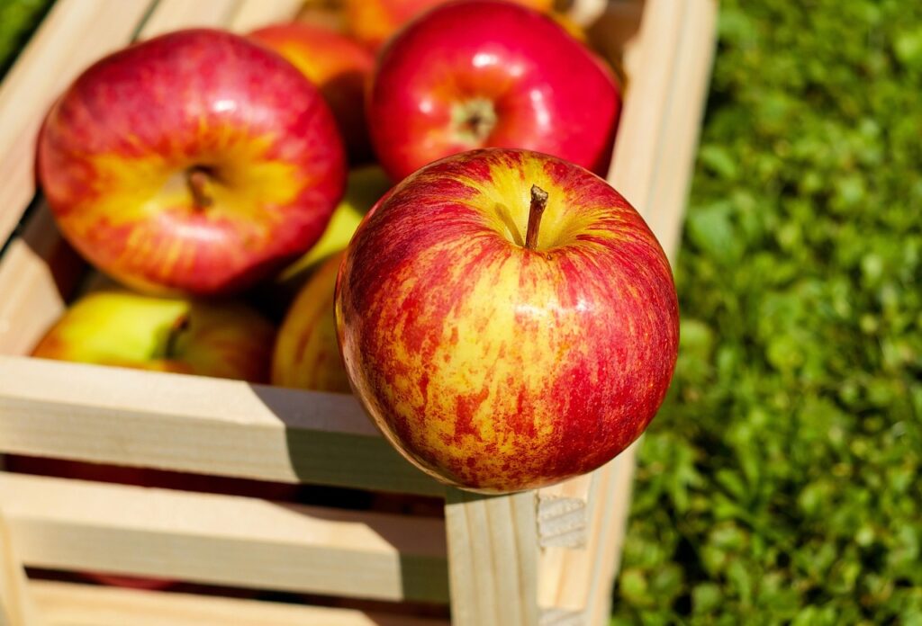 apple, red, fruits, fresh, harvest, apple crate, red apples, fresh apples, ripe apples, produce, organic, food, eat, healthy, apple, apple, apple, apple, apple