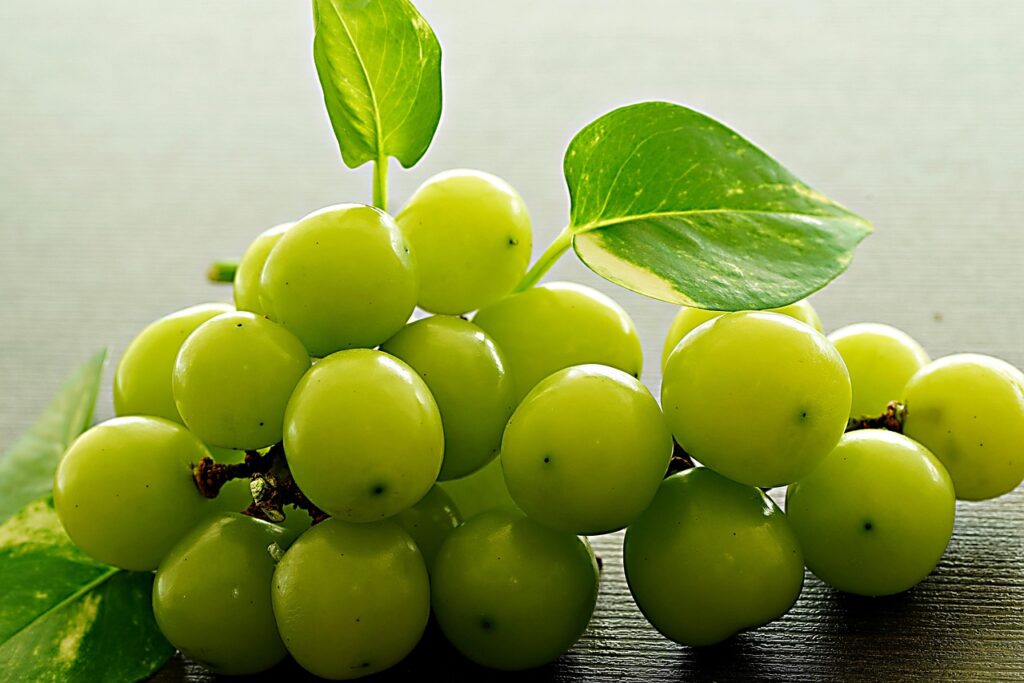 grape, green, fruit, fresh, healthy, organic, food, grape, grape, grape, grape, grape